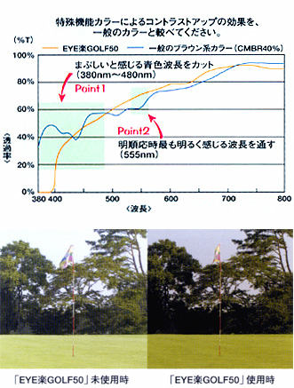 比較画像