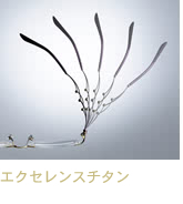 エクセレンスチタン